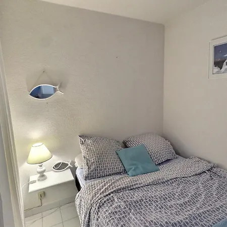 公寓 Amoureva 4 Pers - Vue - Parking - Piscine - Proche Commerce 阿格德